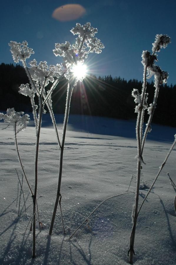 Gasthof Hirschenwirt Schöder Buitenkant foto