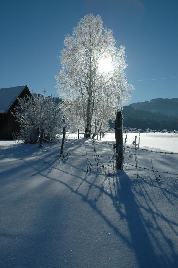Gasthof Hirschenwirt Schöder Buitenkant foto